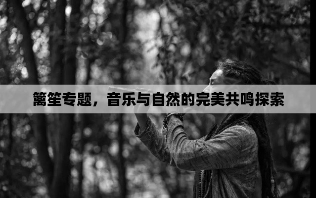 篱笙专题,音乐与自然的完美共鸣探索