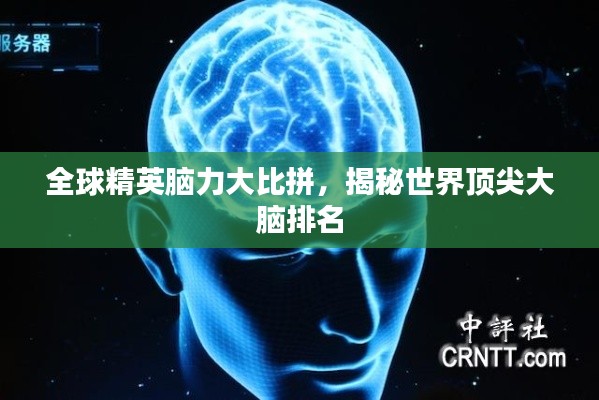 全球精英脑力大比拼,揭秘世界顶尖大脑排名