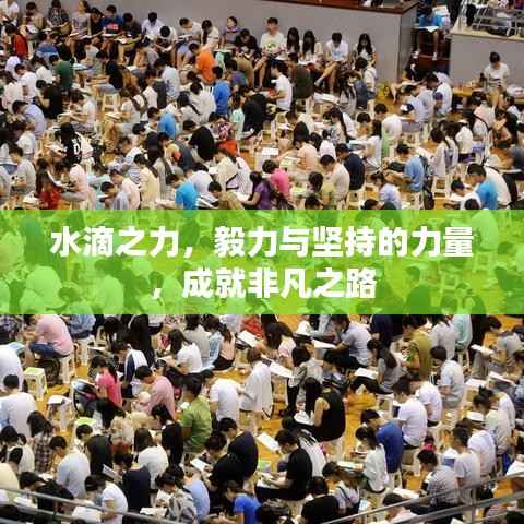 水滴之力,毅力与坚持的力量,成就非凡之路