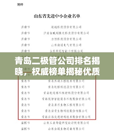 青岛二极管公司排名揭晓,权威榜单揭秘优质企业!