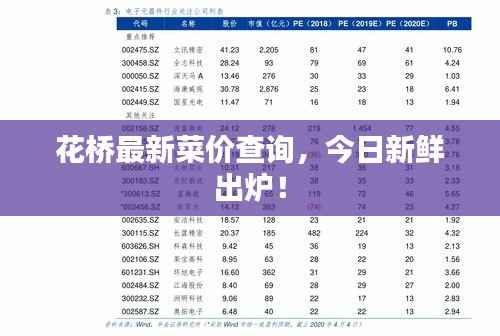花桥最新菜价查询，今日新鲜出炉！