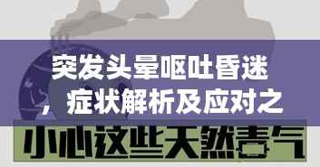 突发头晕呕吐昏迷,症状解析及应对之策