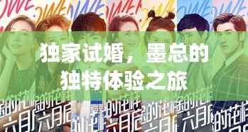 独家试婚,墨总的独特体验之旅