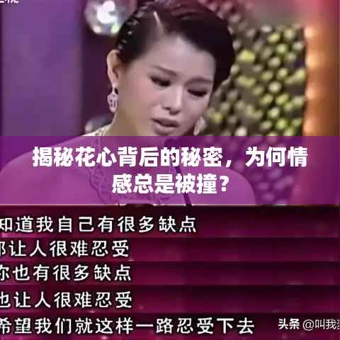 揭秘花心背后的秘密,为何情感总是被撞?