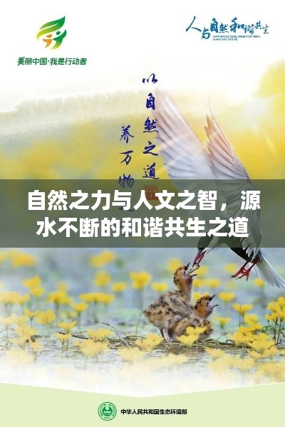 自然之力与人文之智,源水不断的和谐共生之道
