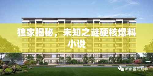 独家揭秘，未知之谜硬核爆料小说