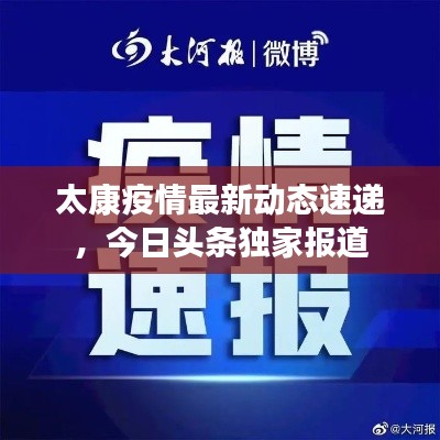 太康疫情最新动态速递,今日头条独家报道