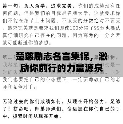 楚慈励志名言集锦,激励你前行的力量源泉