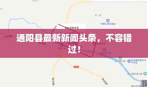 通阳县最新新闻头条,不容错过!