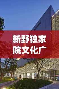 新野独家院文化广场,传承与创新的完美交融
