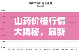 山药价格行情大揭秘，最新市场动态分析报告