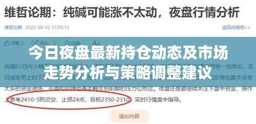 今日夜盘最新持仓动态及市场走势分析与策略调整建议