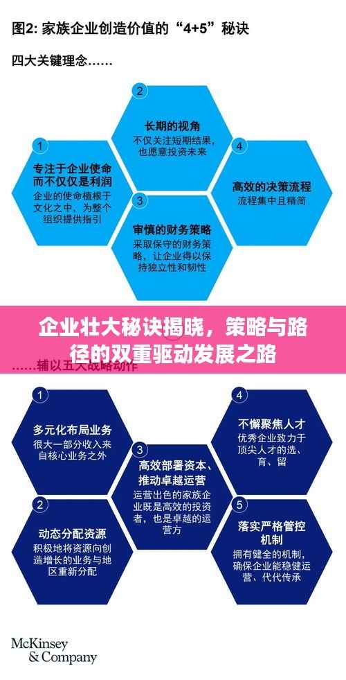 企业壮大秘诀揭晓，策略与路径的双重驱动发展之路