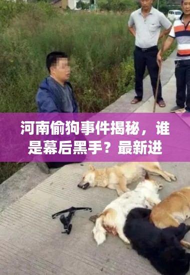 河南偷狗事件揭秘,谁是幕后黑手?最新进展曝光