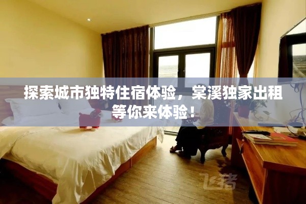 探索城市独特住宿体验,棠溪独家出租等你来体验!