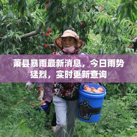 萧县暴雨最新消息,今日雨势猛烈,实时更新查询