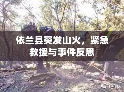依兰县突发山火,紧急救援与事件反思