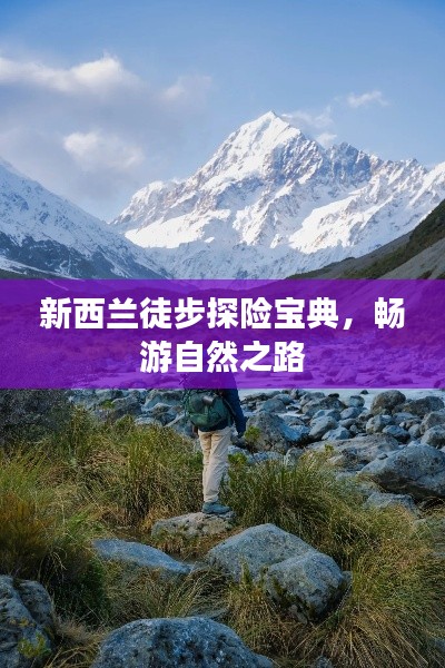 新西兰徒步探险宝典，畅游自然之路