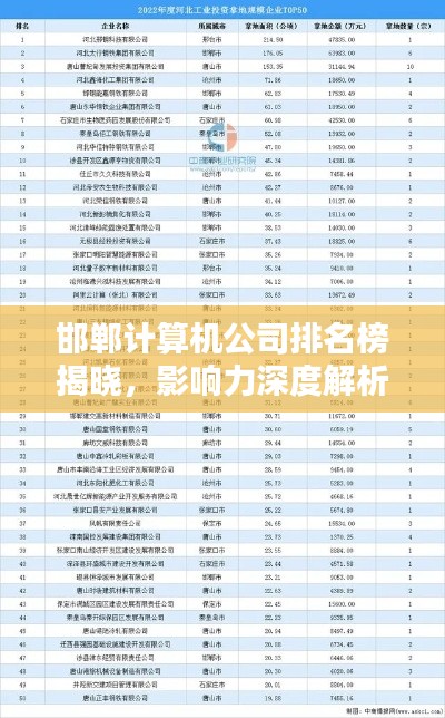 邯郸计算机公司排名榜揭晓,影响力深度解析