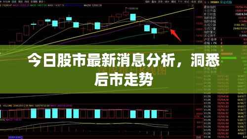 今日股市最新消息分析,洞悉后市走势