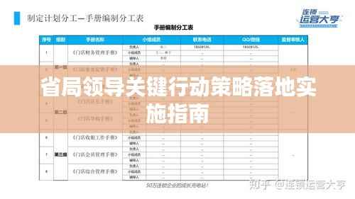 省局领导关键行动策略落地实施指南
